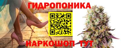 гидропоника Будённовск