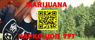гидропоника Будённовск