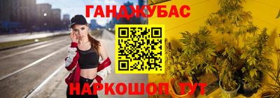 гидропоника Будённовск