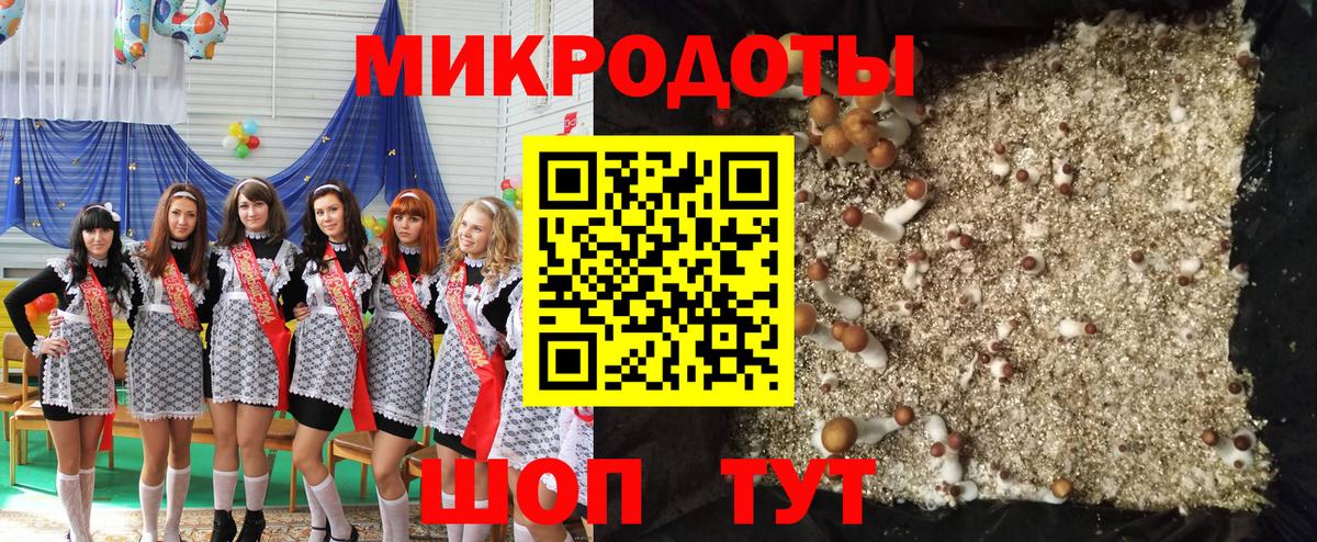 Фрязино  Псилоцибиновые грибы Psilocybe  Вход с VPN  Галлюциногенные грибы GOLDEN TEACHER 